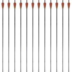 Pijlen voor recurveboog standaard 30" 0,76 cm koolstof 12 stuks