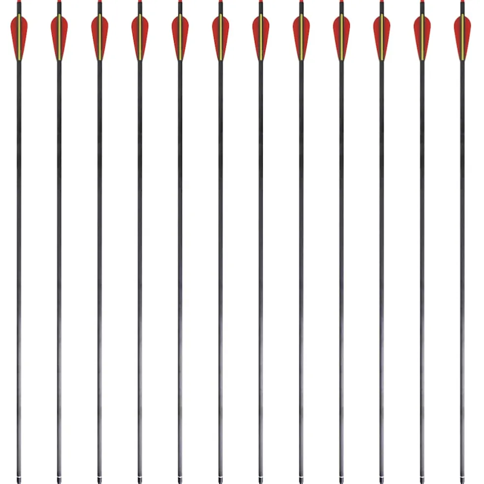 Pijlen voor recurveboog standaard 30" 0,76 cm koolstof 12 stuks
