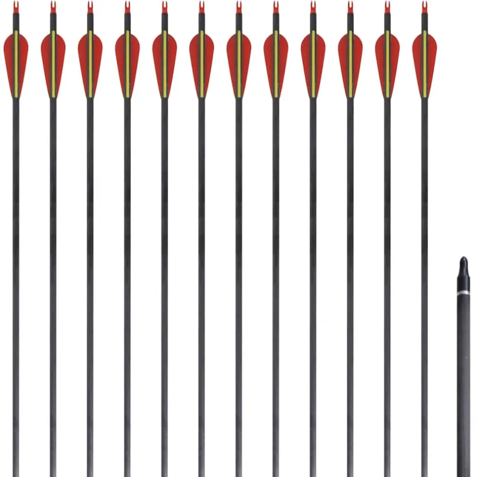 Pijlen voor recurveboog standaard 30" 0,76 cm koolstof 12 stuks