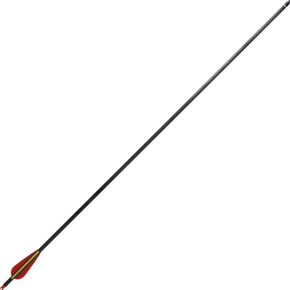 Pijlen voor recurveboog standaard 30" 0,76 cm koolstof 12 stuks