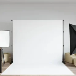 vidaXL Achtergrondstandaard 254x243 cm staal zwart