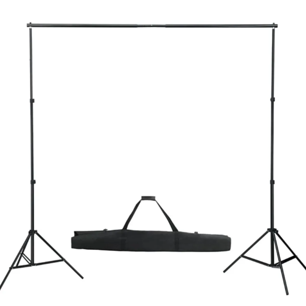 vidaXL Achtergrondsysteem 600x300 cm zwart