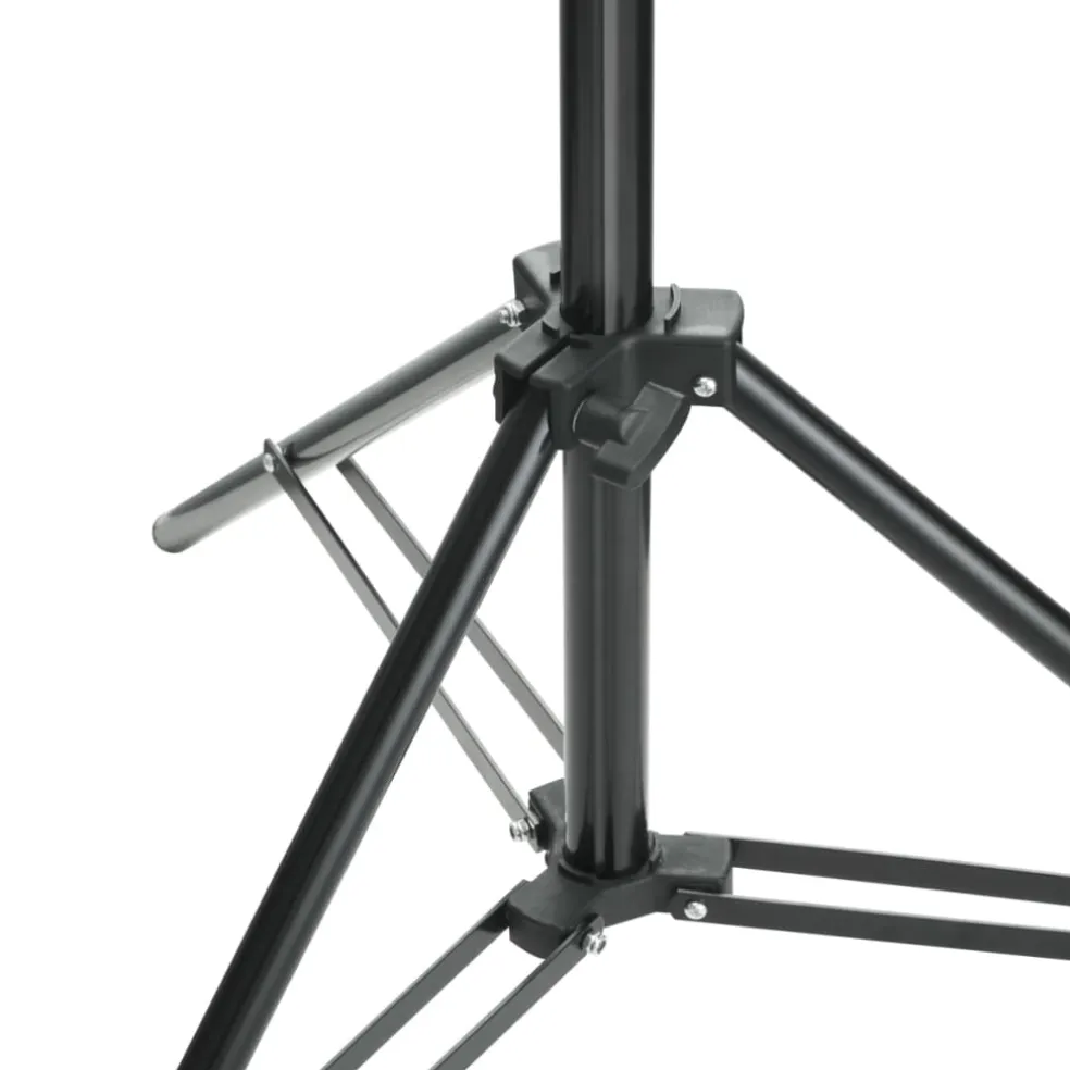 vidaXL Achtergrondsysteem 600x300 cm zwart