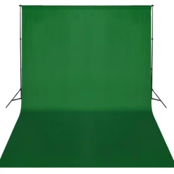 vidaXL Achtergrondsysteem 300x300 cm groen