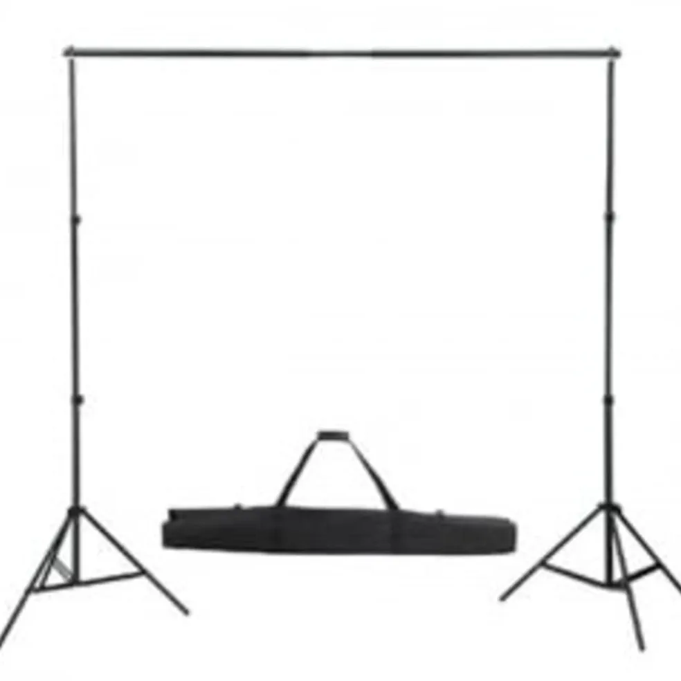 vidaXL Achtergrondsysteem 300x300 cm groen