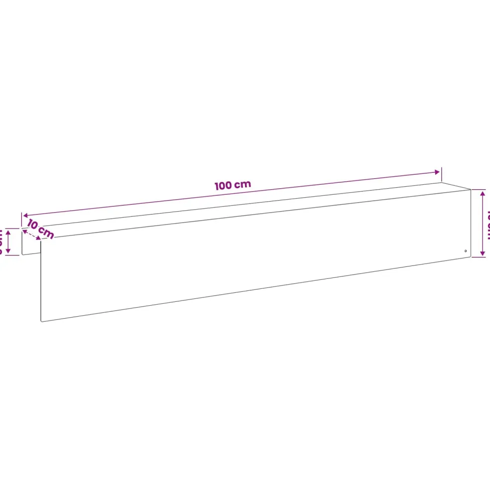 vidaXL Afdekprofiel voor tuinafboording 2 st 100 x 10 x 15 cm Staal
