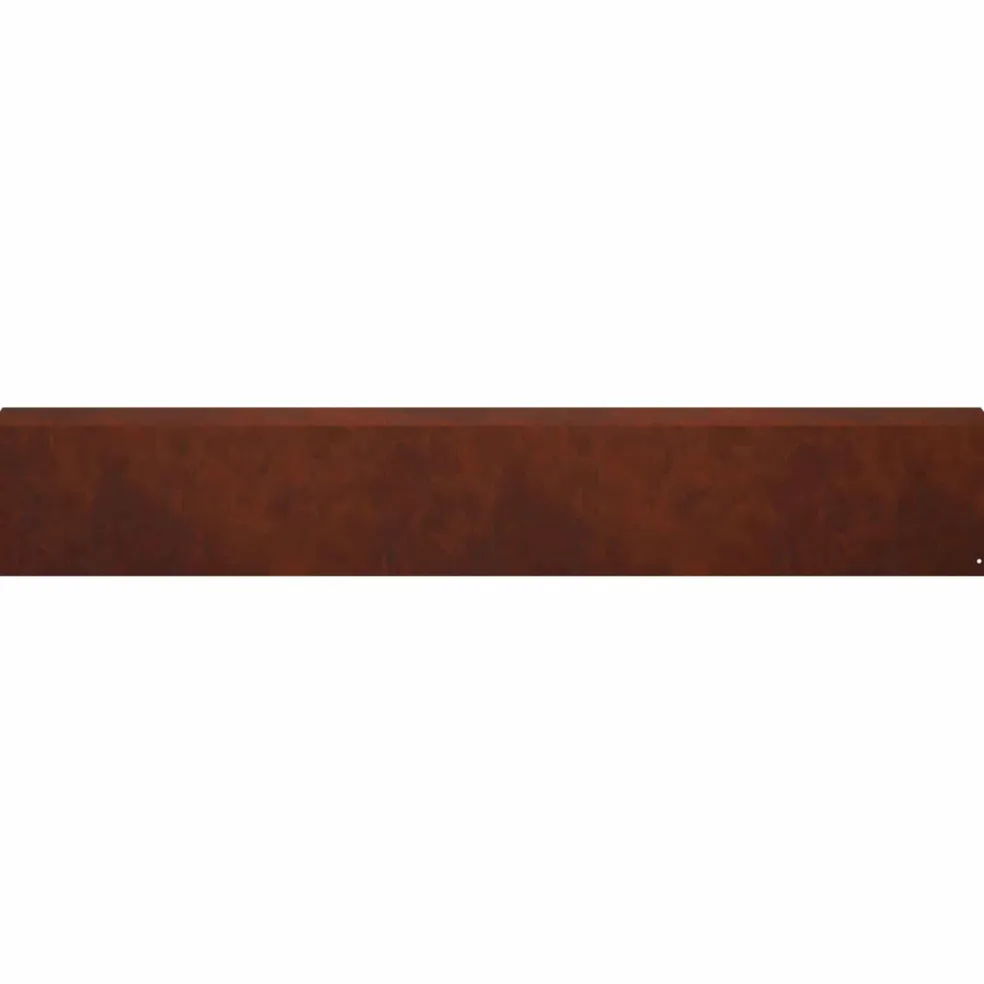 vidaXL Afdekprofiel voor tuinafboording 2 st 100 x 10 x 15 cm
