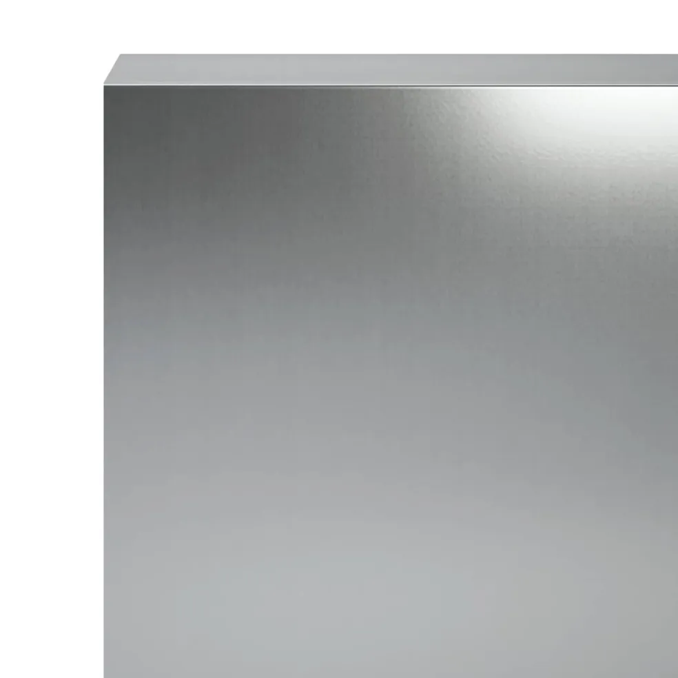 vidaXL Afdekprofiel voor tuinafboording 2 st 100 x 10 x 15 cm