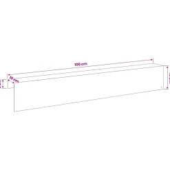 vidaXL Afdekprofiel voor tuinafboording 2 st 100 x 10 x 15 cm Staal