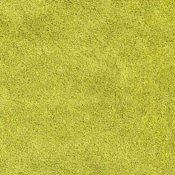 vidaXL Antislip Badmat met Toilet Cut Groen 50 x 50 cm PP