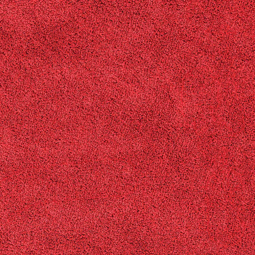 vidaXL Antislip Badmat Rood 50 x 80 cm PP