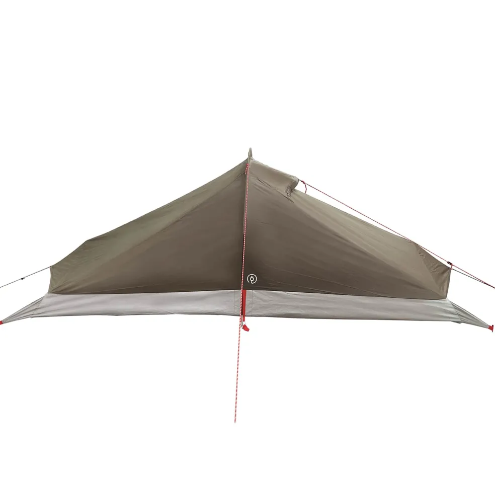 vidaXL Backpacking Tent 2-persoons Bruin en Grijs