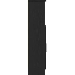 vidaXL Badkamerkast met rolhouder 20,5x22x90 cm zwart