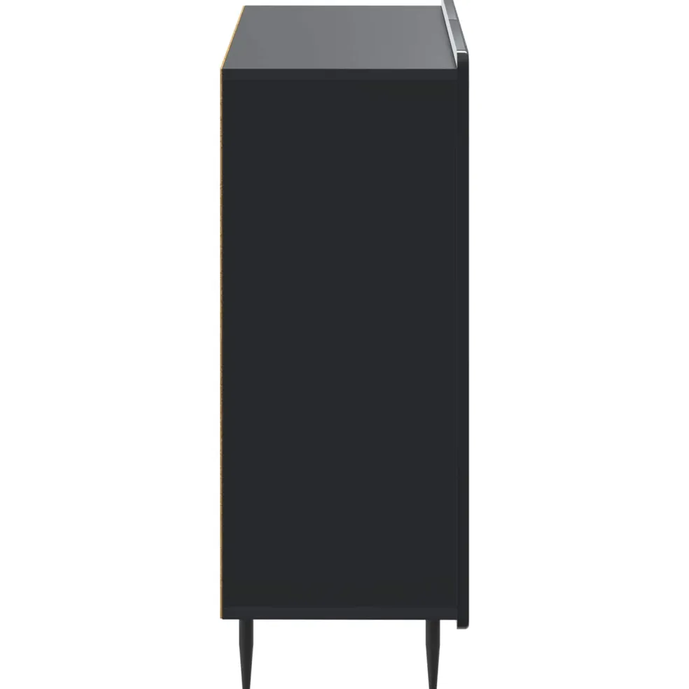 vidaXL Badkamer Opbergkast ZWOLLE Zwart 59,5 x 31 x 79,5 cm