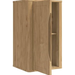 vidaXL Badkamer wandkast met plank FLORO Wasbruin 35 x 30 x 60 cm