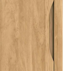 vidaXL Badkamer wandkast met plank FLORO Wasbruin 35 x 30 x 60 cm