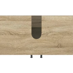 vidaXL Badkamer wastafelkast HAARLEM Sonoma Eiken 59,5 x 31,5 x 59 cm