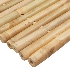 vidaXL Badmatten 2 st 50x35 cm bamboe