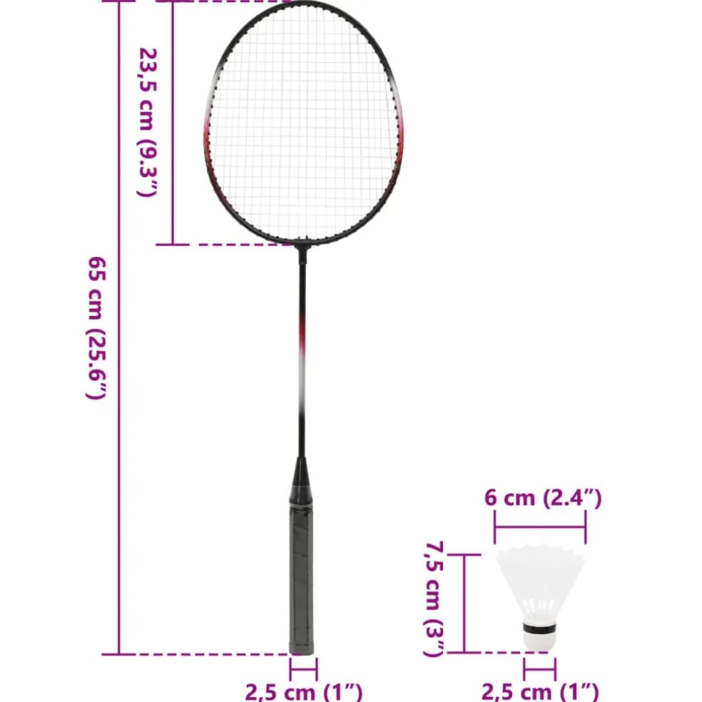 vidaXL Badmintonset met 2 rackets, net en opbergkoffer 292x30x152 cm