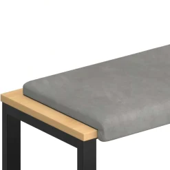 vidaXL Bankkussen fluweel Lichtgrijs Diepte 35 cm