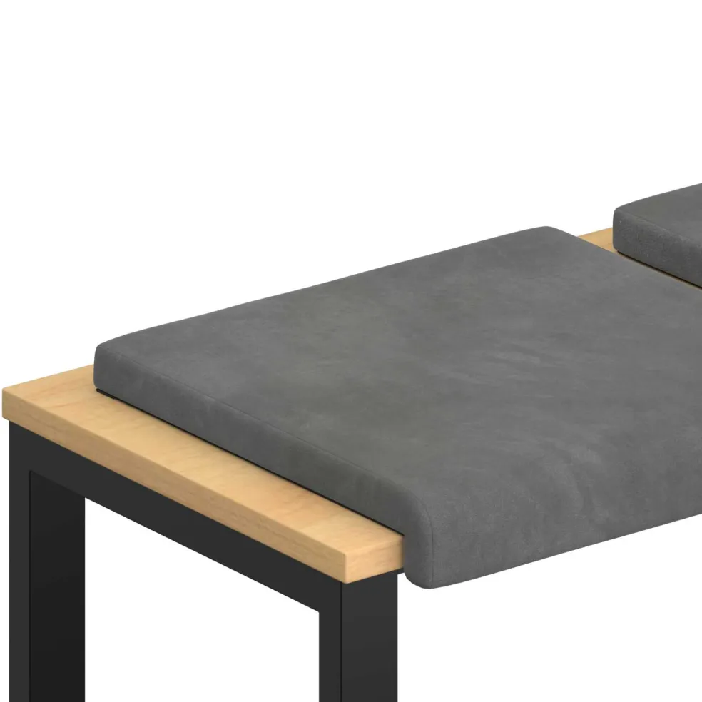 vidaXL Bankkussen 2 st fluweel Donkergrijs Diepte 35 cm