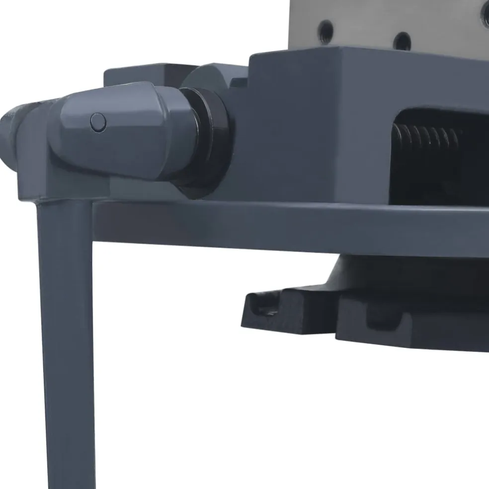 vidaXL Bankschroef draaibaar 160 mm gietijzer