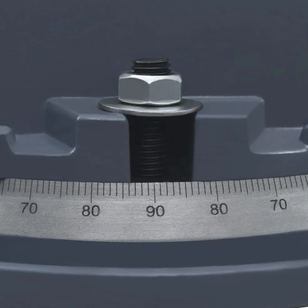 vidaXL Bankschroef draaibaar 160 mm gietijzer