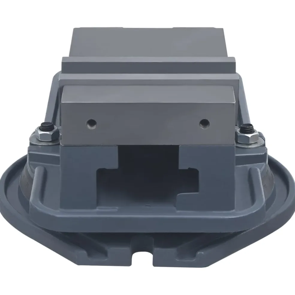 vidaXL Bankschroef draaibaar 160 mm gietijzer