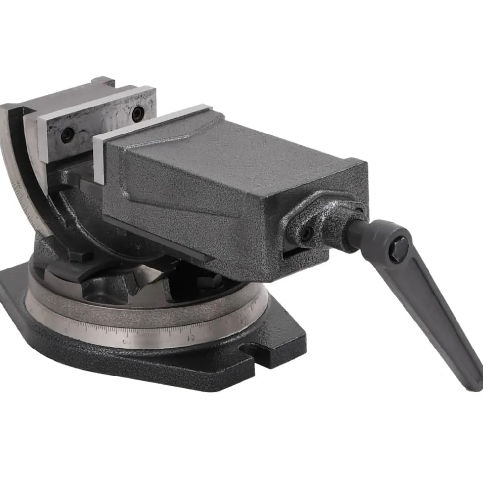vidaXL Bankschroef met 2 assen kantelbaar 100 mm