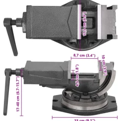 vidaXL Bankschroef met 2 assen kantelbaar 100 mm