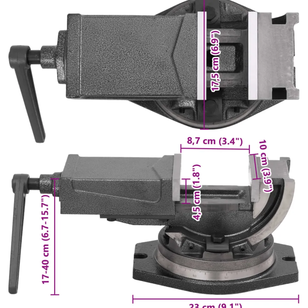 vidaXL Bankschroef met 2 assen kantelbaar 100 mm
