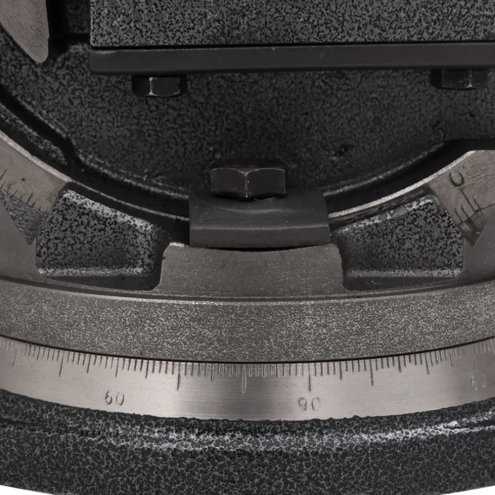 vidaXL Bankschroef met 2 assen kantelbaar 100 mm