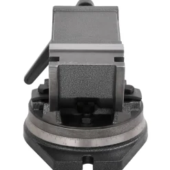 vidaXL Bankschroef met 2 assen kantelbaar 100 mm