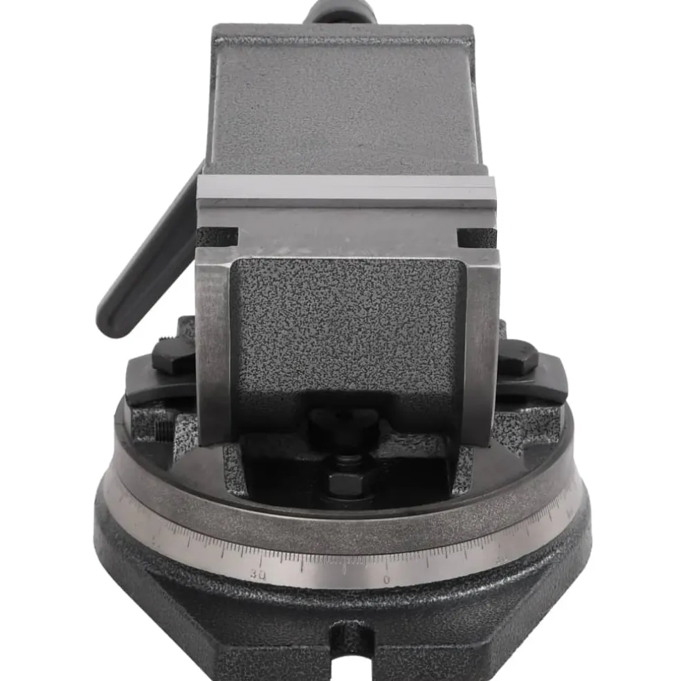 vidaXL Bankschroef met 2 assen kantelbaar 100 mm