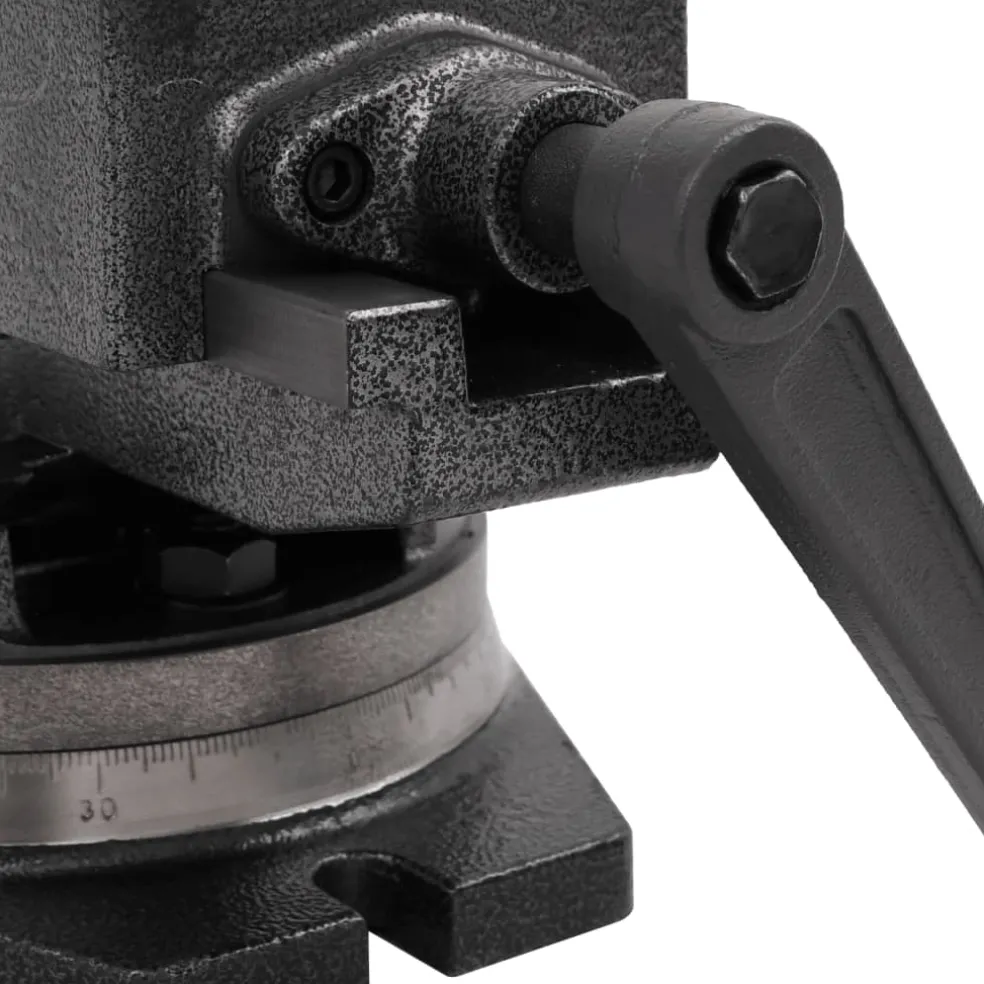 vidaXL Bankschroef met 2 assen kantelbaar 100 mm