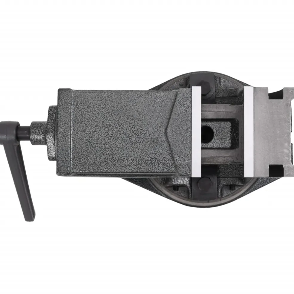 vidaXL Bankschroef met 2 assen kantelbaar 100 mm
