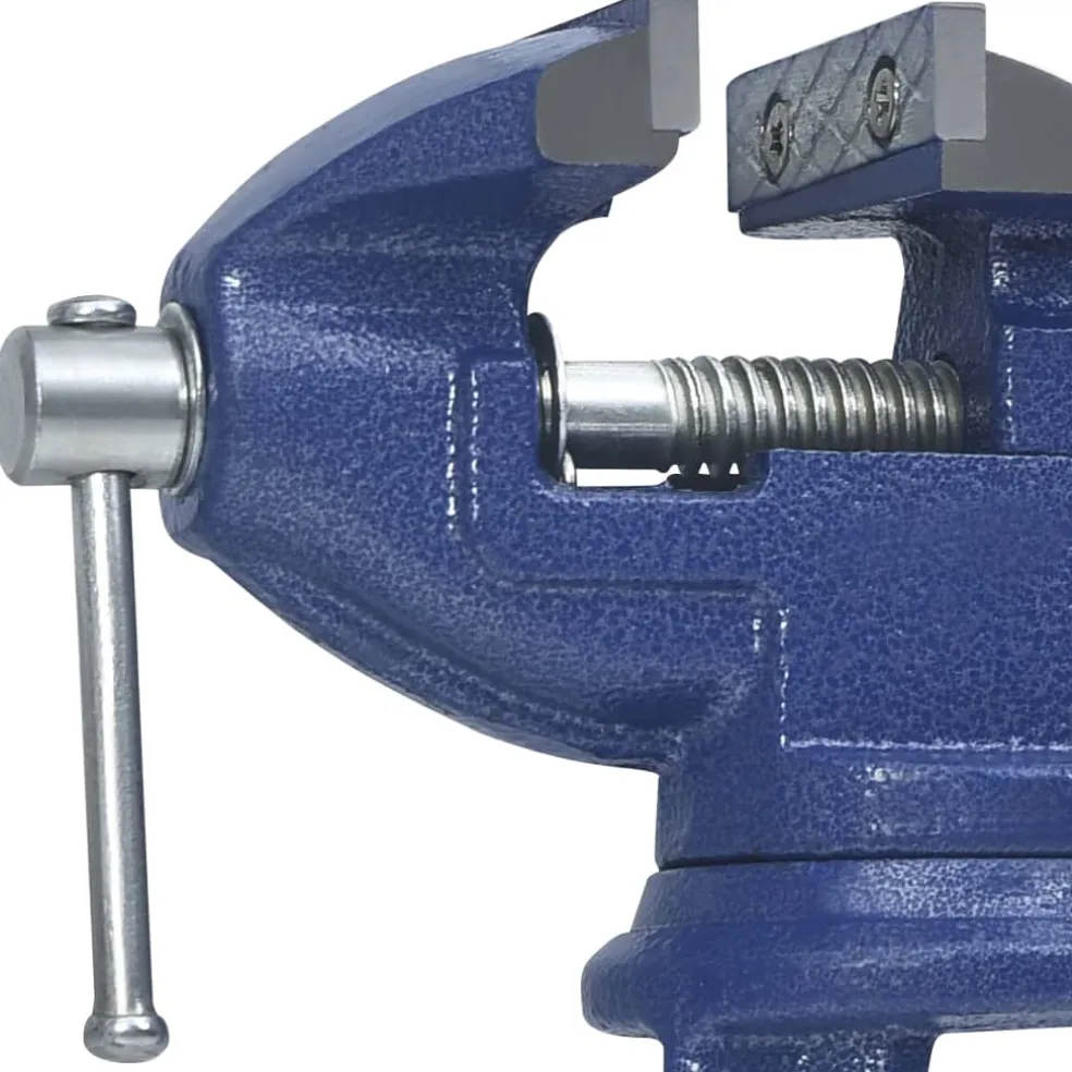 vidaXL Bankschroef 60 mm gietijzer