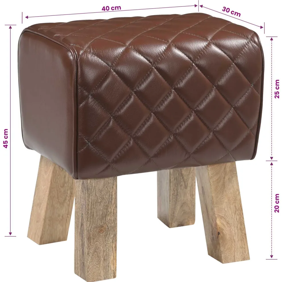 vidaXL Bank 40 x 30 x 45 cm Echt Leer Bruine diamant