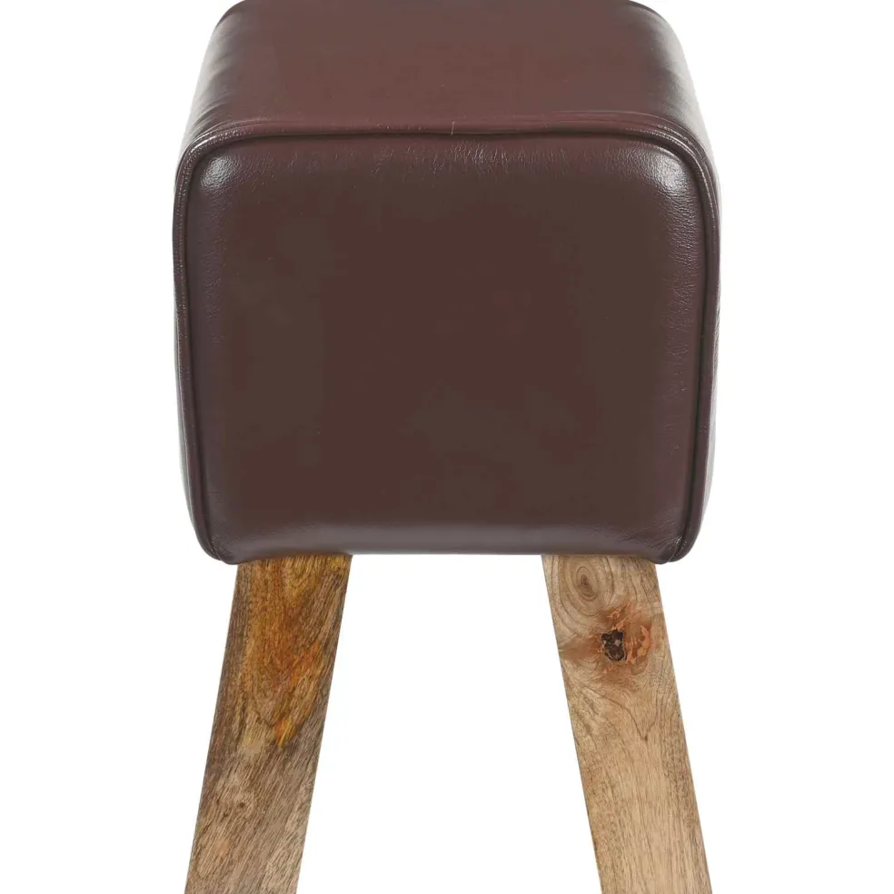 vidaXL Bank 60 x 30 x 45 cm Echt Leer Donkerbruin
