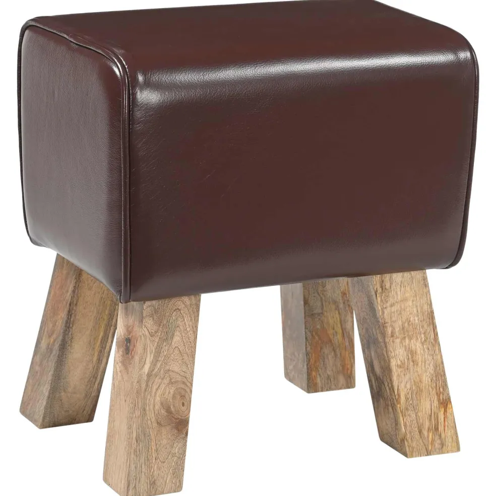 vidaXL Bank 60 x 30 x 45 cm Echt Leer Donkerbruin