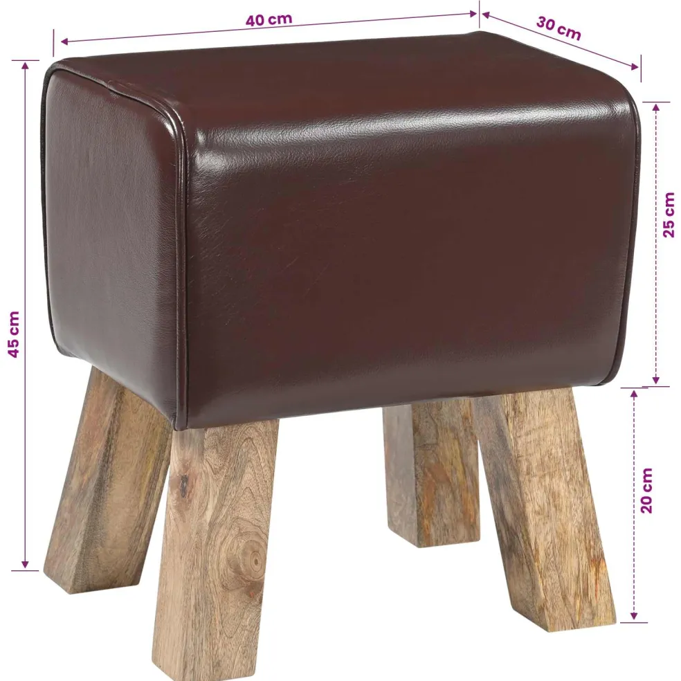 vidaXL Bank 60 x 30 x 45 cm Echt Leer Donkerbruin