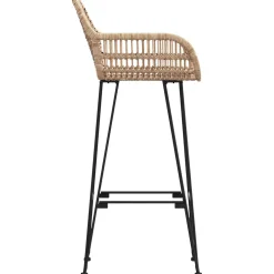 vidaXL Barkruk 2 st Naturel 55 x 52 x 105 cm Riet en IJzer