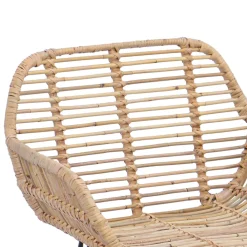 vidaXL Barkruk 2 st Naturel 55 x 52 x 105 cm Riet en IJzer