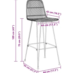 vidaXL Barkruk 2 st Zwart 44 x 55 x 109 cm Rattan en staal