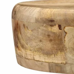 vidaXL Barstoelen 2 st massief mangohout
