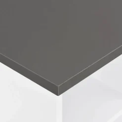 vidaXL Bartafel 60x60x110 cm wit en antracietgrijs