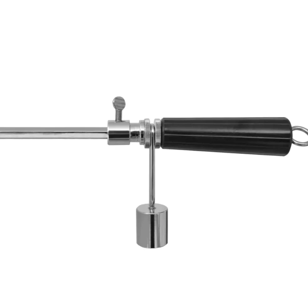 vidaXL BBQ Draaispit met professionele motor staal 900 mm