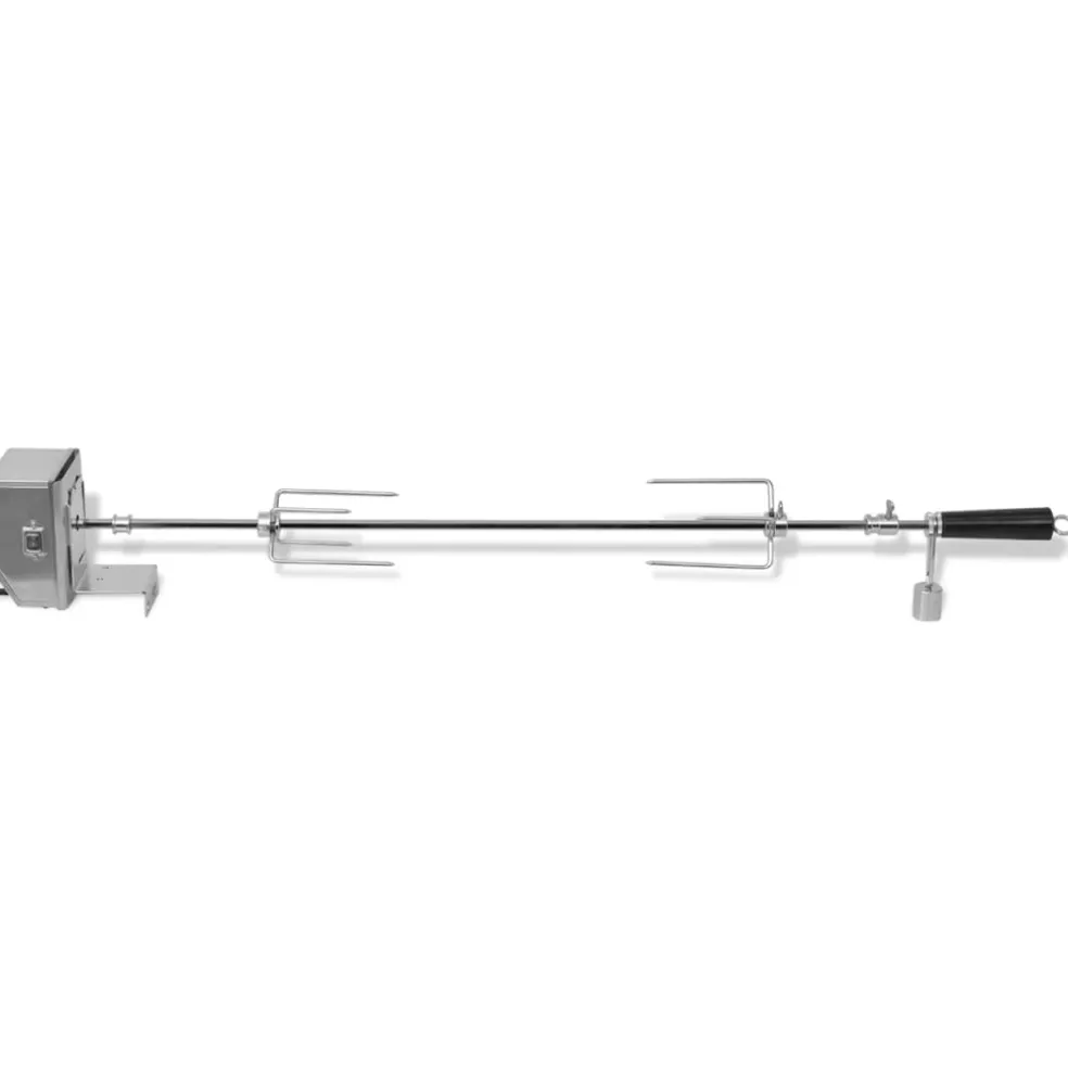 vidaXL BBQ Draaispit met professionele motor staal 900 mm