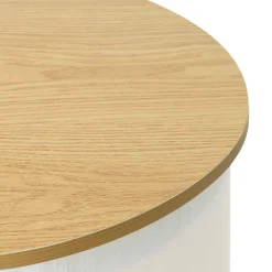 vidaXL Beursbalie Lichtbruin en wit 90 x 48 x 93 cm Bewerkt hout en PP