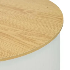vidaXL Beursbalie Lichtbruin en wit Ø 60 x 93 cm Bewerkt hout en PP